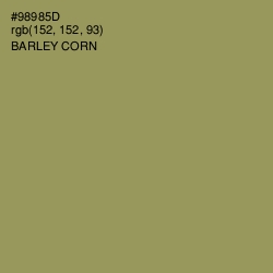 #98985D - Barley Corn Color Image